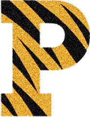 bigp